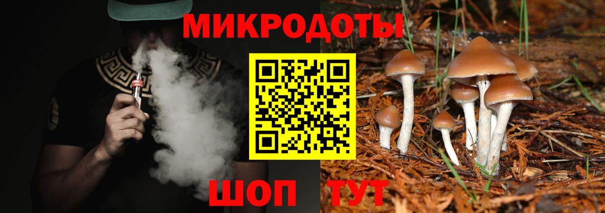 Галлюциногенные грибы прущие грибы Красноуфимск