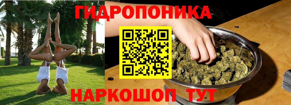 Бошки марихуана White Widow  Бошки марихуана AK-47  Шишки марихуана план  Красноуфимск  Вход с VPN  Бошки марихуана Amnesia 